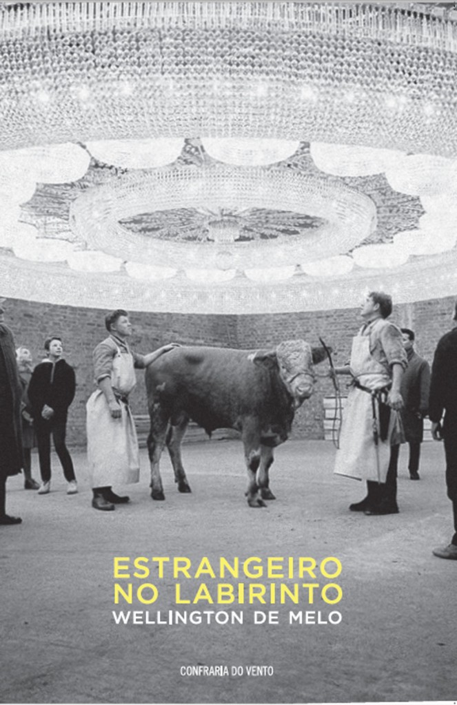 capa-estrangeiro-no-labirinto