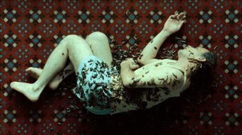 Cena do filme Natimorto, onde Lourenço contracenou com mais de seiscentas baratas